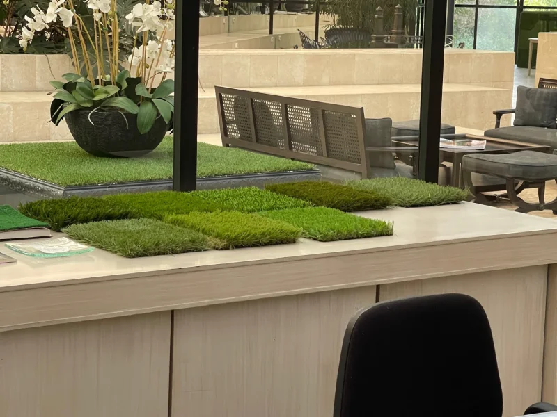 Ufficio Green - Foto 4