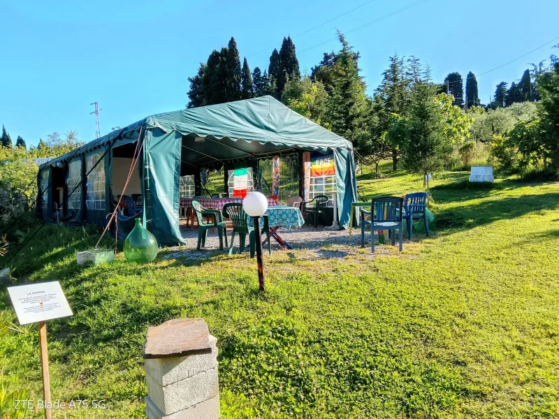 GREEN TENDA a Rosignano Marittimo - Foto 3