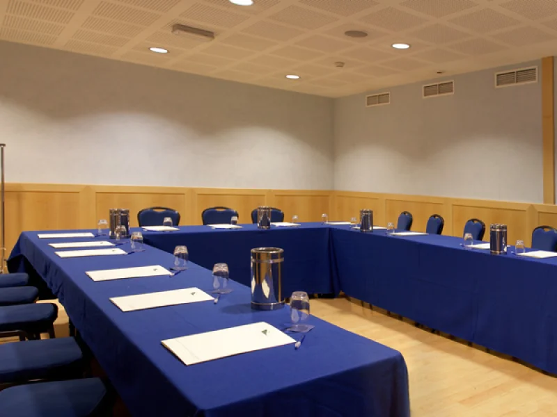 SMERALDO - Sala Conferenze disponibile per prenotazione
