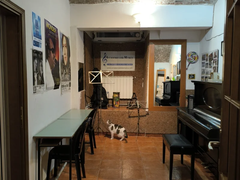 Stanza verde - Foto 5