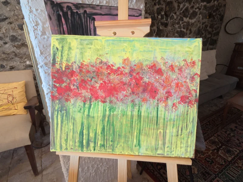 Sala riunione in natura - Foto 3