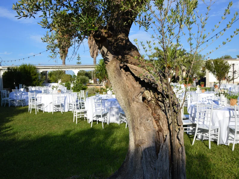 Sala Eventi - Sala Conferenze disponibile per prenotazione