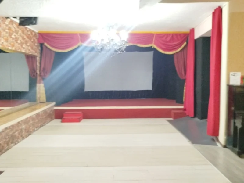 Piccolo Teatro Paladino - Foto 5