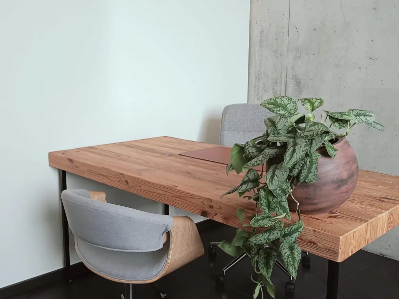 Ufficio Glicine - Foto 2