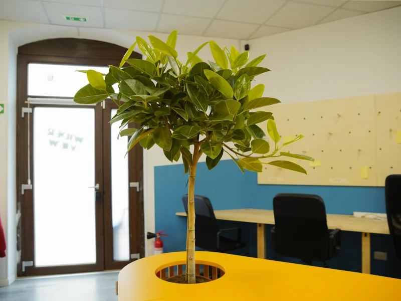 Open space coworking a Roma - Foto 3