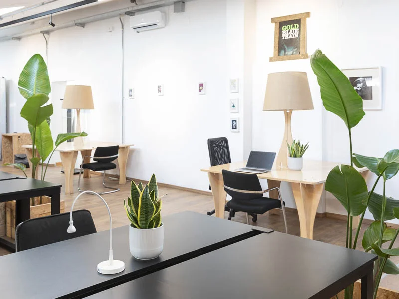 Multiverso main area - Foto 3