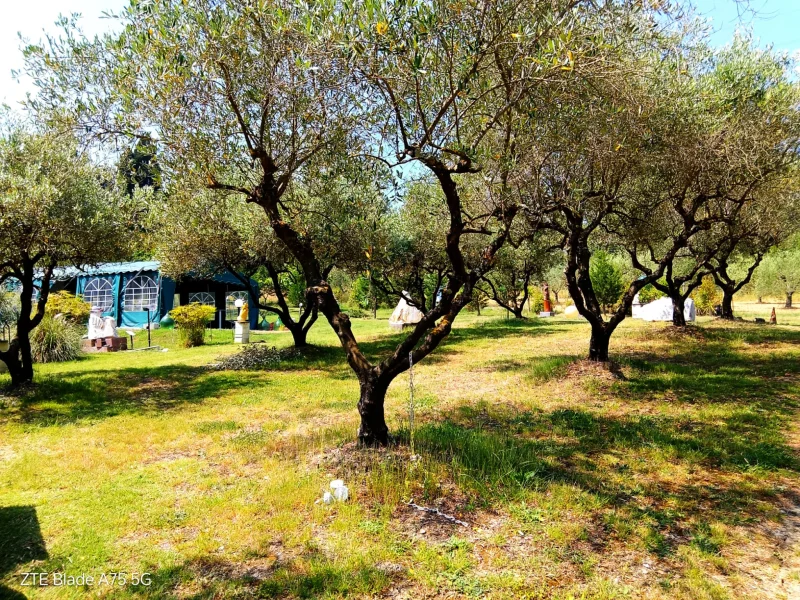 Parco della Giunca a Rosignano Marittimo - Foto 4