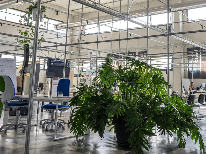 Vivaio Digitale - Coworking disponibile per prenotazione