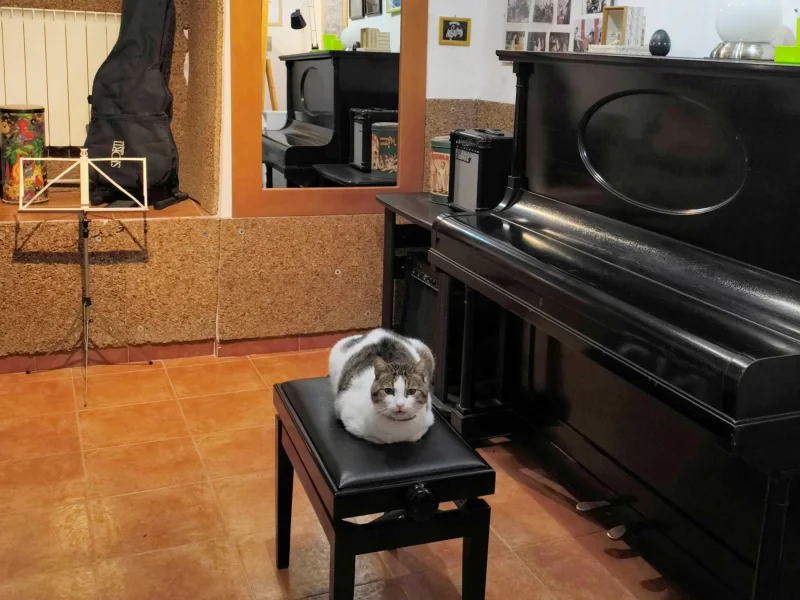 Stanza verde - Foto 4