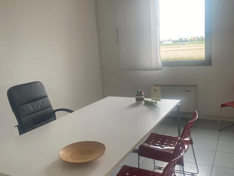 Sala Steinberg - Foto 5