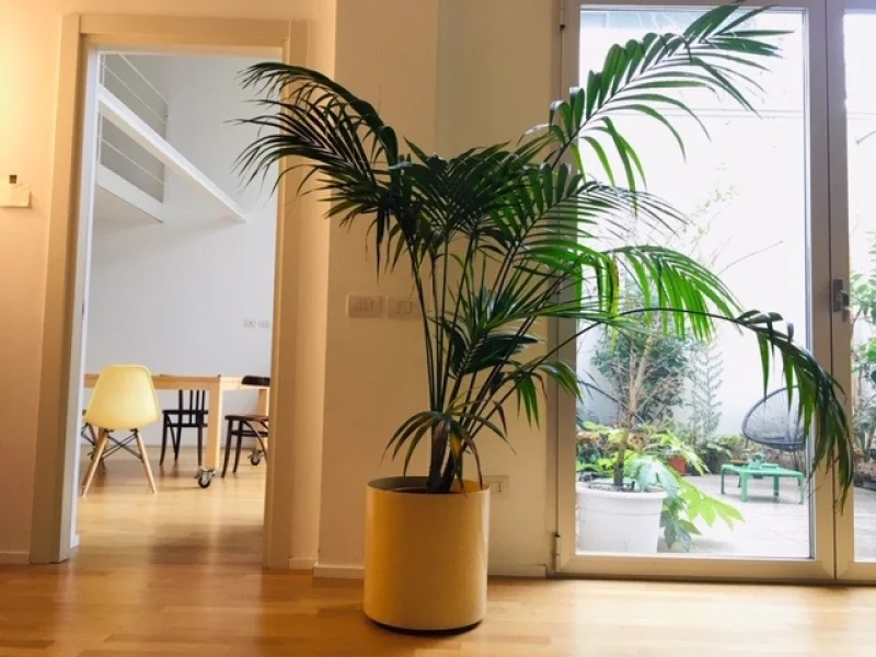 Postazione libera - Foto 3