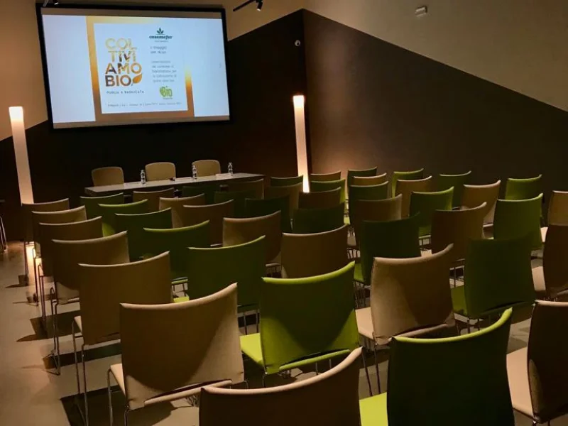 Sala Socrate - Foto 3