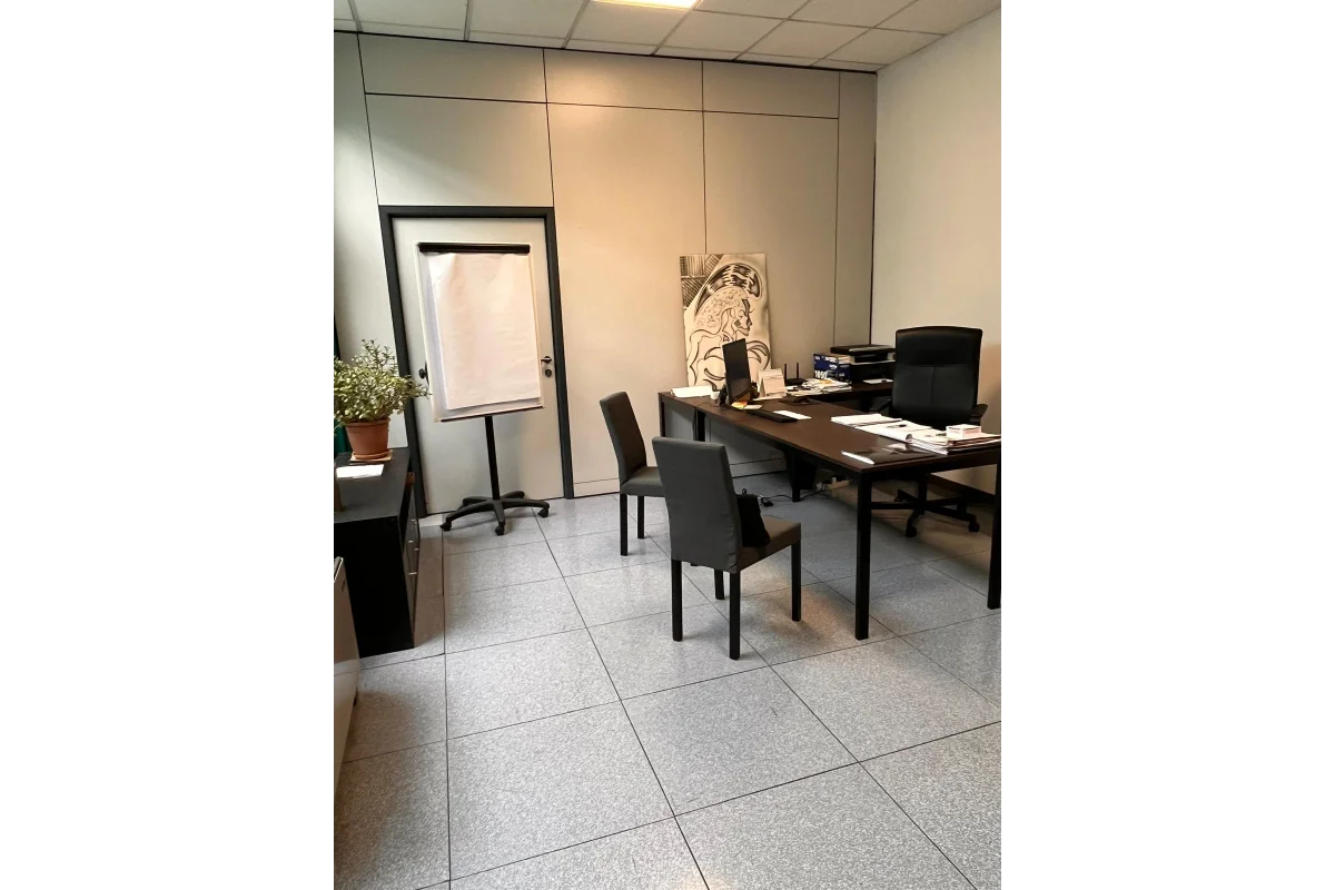 Morini Consulting