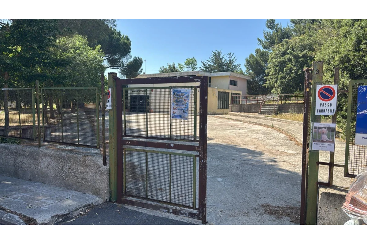 Centro d'Arte e Cultura Giuseppe Biasi