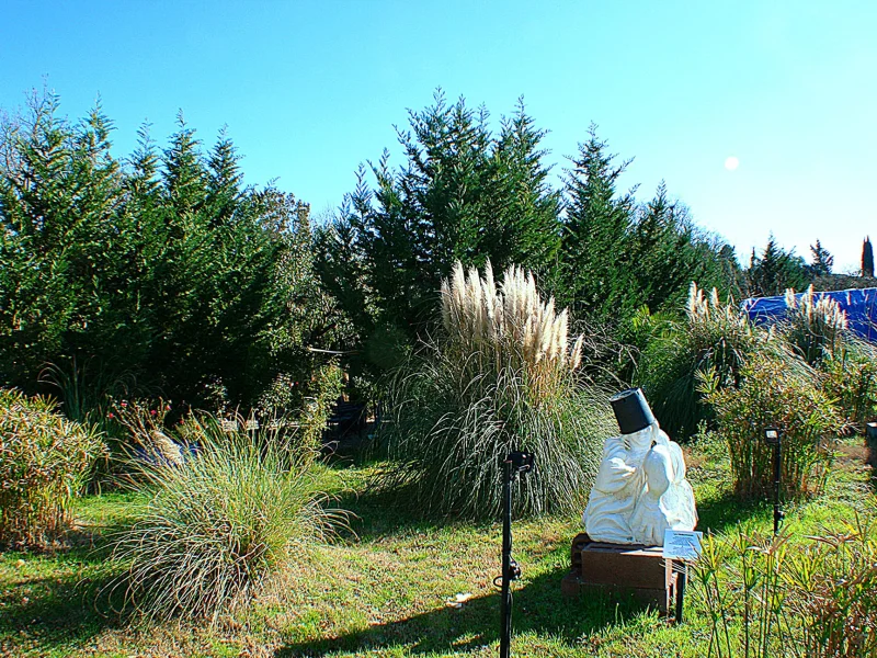 Parco delle Sculture La giunca - Foto 4 della struttura