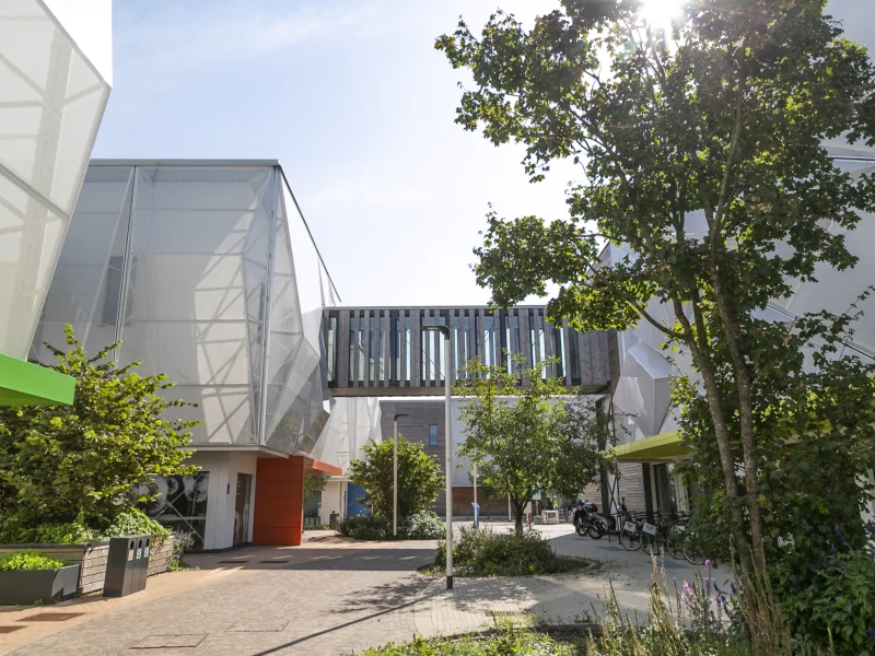 The Hive - Stella33 - Foto 2 della struttura