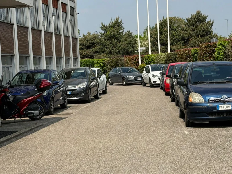 Lynx srl - Foto 5 della struttura