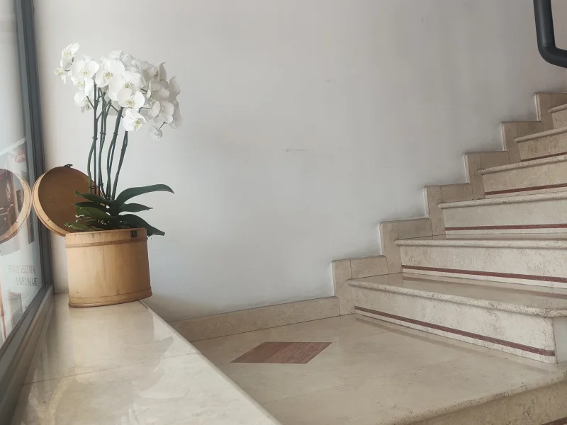 Lilly's working space - Foto 2 della struttura