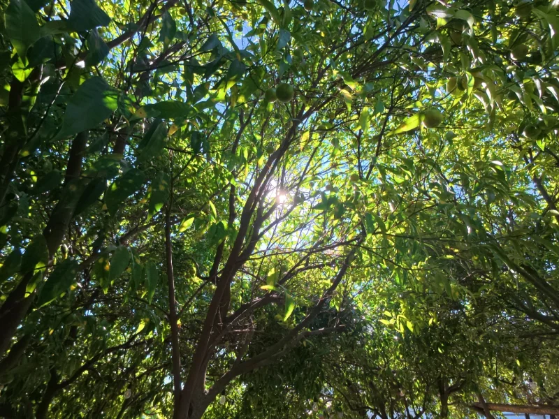 Casa Gialla Sicilia - Foto 3 della struttura