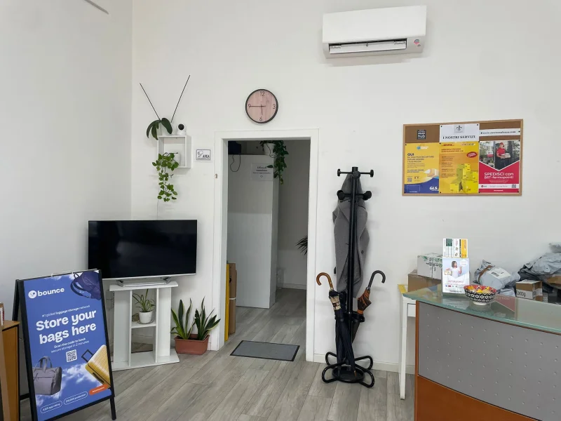 MV Consulenza - Foto 4 della struttura