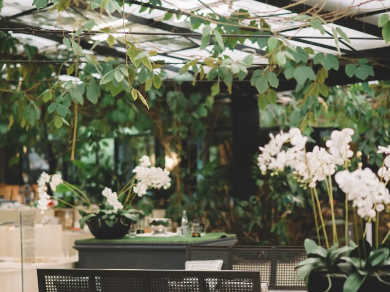 Paghera - Foto 5 della struttura