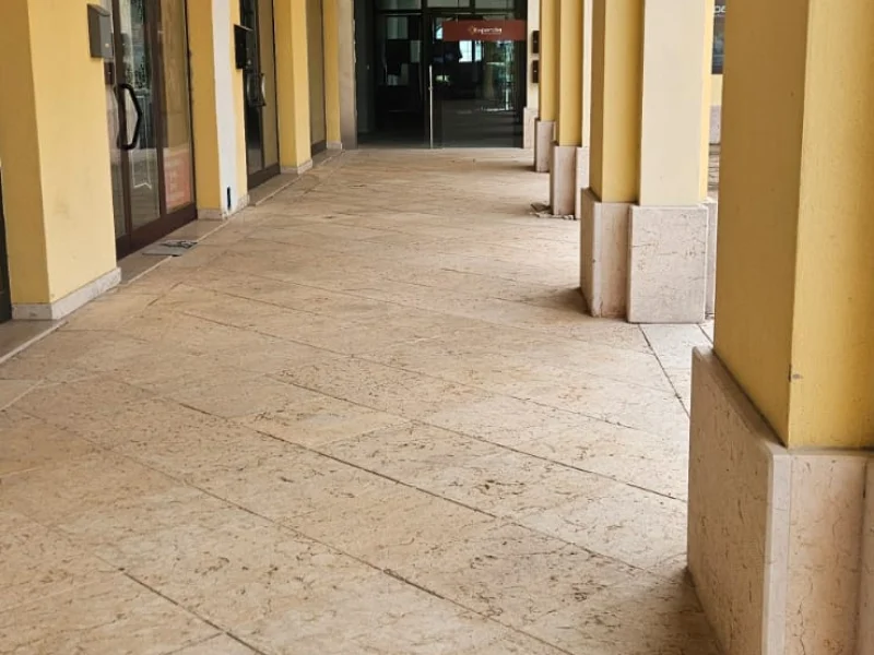 WeStudio - Foto 2 della struttura