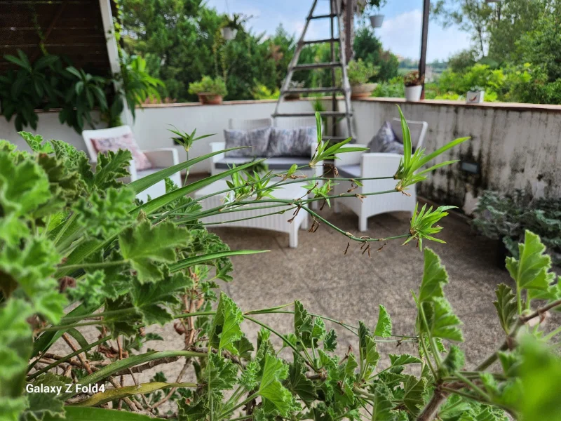 La dimora dei 5 sensi - Foto 5 della struttura