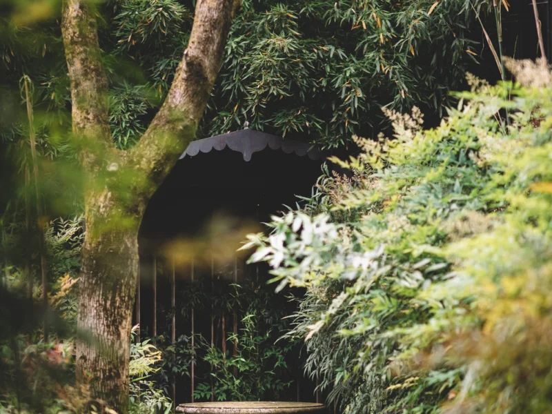 Paghera - Foto 3 della struttura