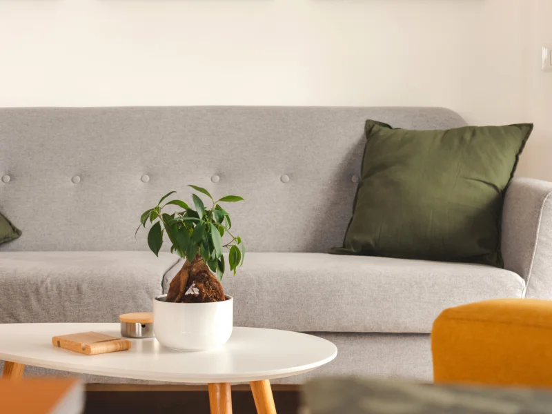 Spazio Design Indipendente - Foto 5 della struttura