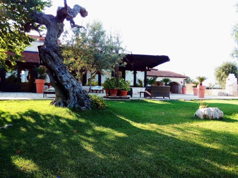 Agriturismo Masseria Alberotanza Hospitality & Events in Puglia - Foto 3 della struttura