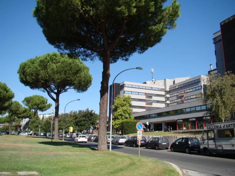 BUSINESS CENTER PARCO DE MEDICI - Foto 5 della struttura