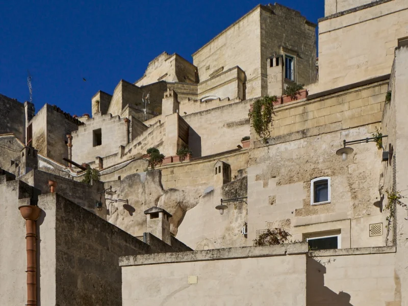 Ecoverticale - Foto 5 della struttura