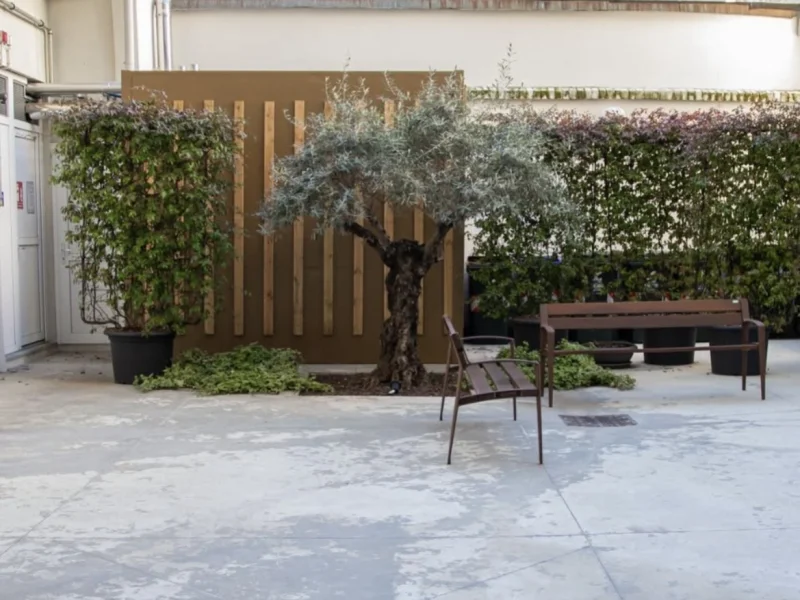 Oasi Yoga - Foto 5 della struttura