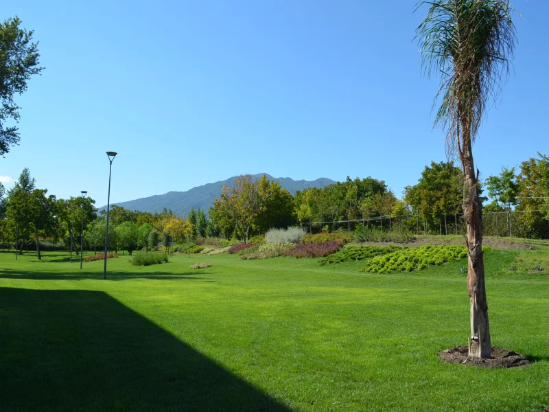 La Masseria - Foto 5 della struttura