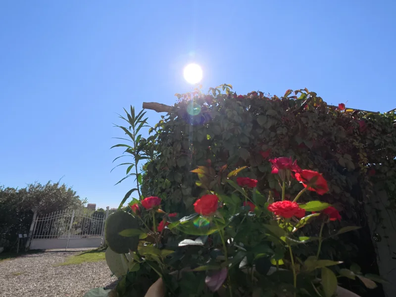 Casa Gialla Sicilia - Foto 4 della struttura