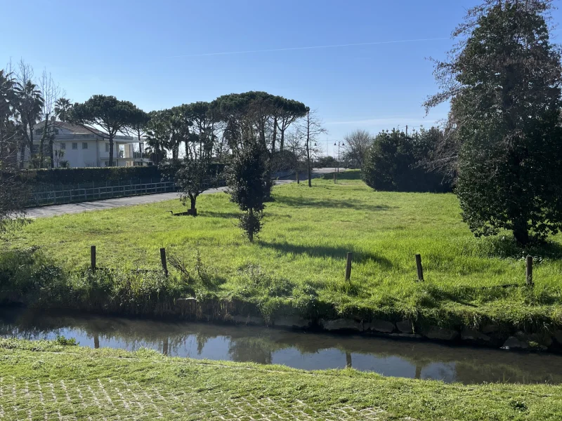 FLF Scuola di Lingue - Foto 2 della struttura