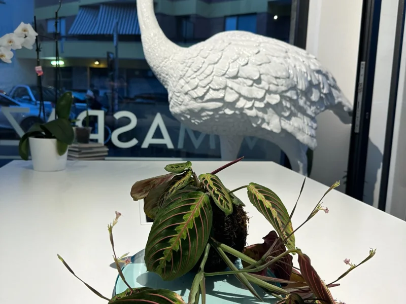 MIMASPAZIO COWORKING - Foto 3 della struttura