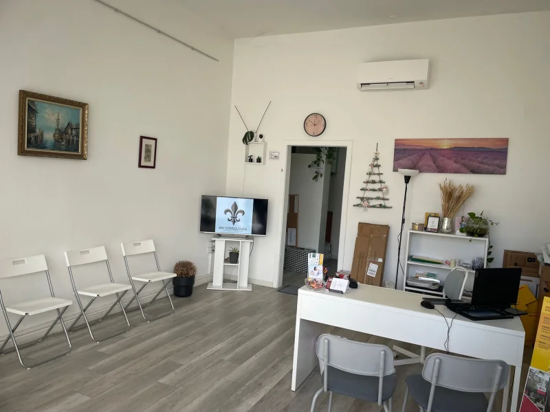 MV Consulenza - Foto 3 della struttura