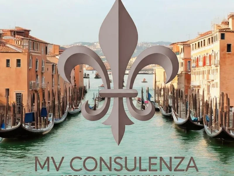 MV Consulenza - Foto 2 della struttura