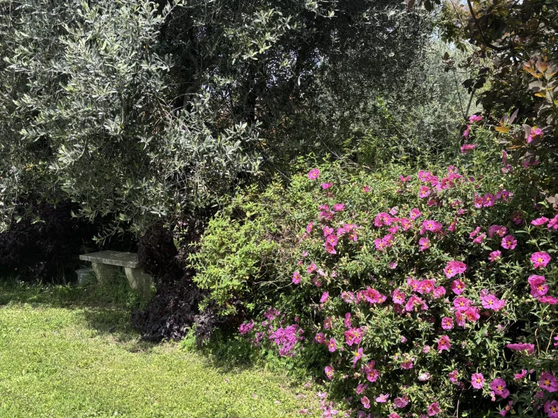 Casali di Casa Rotta - Foto 5 della struttura