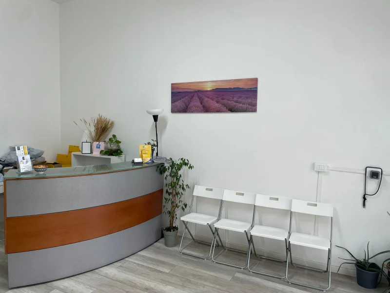 MV Consulenza - Foto 5 della struttura