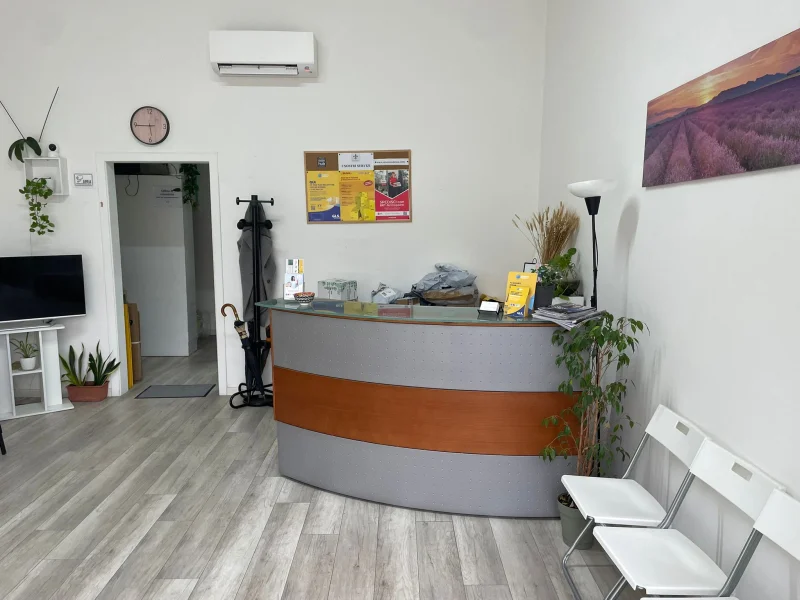 MV Consulenza - Foto 4 della struttura